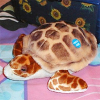 Picture for song 'Sea Sloth demo' by artist 'october71'