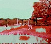 Picture for song 'Absolute Truth' by artist 'of course it is'