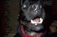 Picture for song 'asshole' by artist 'offencecrew'