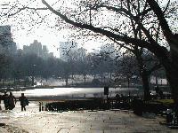 Picture for song 'Number 3' by artist 'Old Mountain Station'