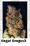 Picture for song 'Shellter/Soundclickunreleseed' by artist 'Omegastarr'