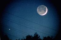 Picture for song 'Under The Moonlite' by artist 'One Man Band'