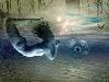 Picture for song 'The Other Dimension' by artist 'One Self'