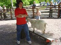 Picture for song 'nytt beat!' by artist 'Onkel Cribb'