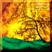 Picture for song 'Mardi Gras' by artist 'ONOFFON'