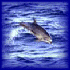 Picture for song 'Aquanaut' by artist 'OOZ'
