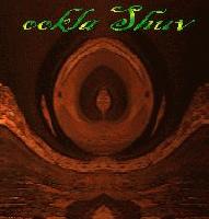 Picture for song 'ookla shuv (Man Vs. Woman Mix)' by artist 'oozish'