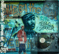 Picture for song 'Unfinished Rap Shit' by artist 'Optimas'