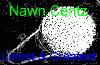 Picture for song 'Nawn Centz - State ya Name' by artist 'Optium Entertainment'
