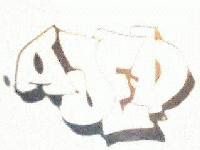 Picture for song 'Life Hike' by artist 'Orange Crush'