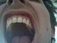 Picture for song 'no te salves' by artist 'orestes'