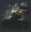 Picture for song 'evill - Dark Guitar' by artist 'Organik The MiC TySoN'