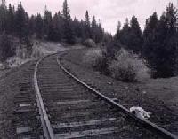 Picture for song 'Hardtimes..' by artist 'Original Sins'