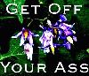 Picture for song 'Get Off Your Ass' by artist 'Orin Drake'