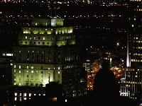 Picture for song 'The Urban Jungle' by artist 'OrionDaune'