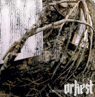Picture for song 'Disregard' by artist 'Orkest'