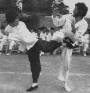 Picture for song 'kung-fu outlaw' by artist 'orpheus'