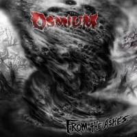 Picture for song 'World of Anguish' by artist 'Osmium'