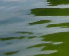 Picture for song 'Lake Frequency' by artist 'Osmosis Plastique'