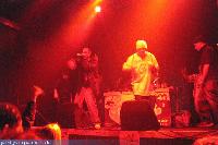 Picture for song 'Oso & Micro - Preview1' by artist 'Oso RecOn'