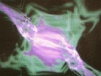 Picture for song 'Cylinder05' by artist 'Outpost Off Orion'