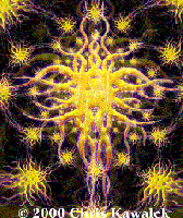 Picture for song 'Tribal' by artist 'Outraged Penguin'