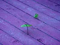 Picture for song 'Strugglin' by artist 'OutSpokenMc'