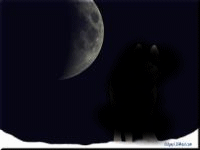 Picture for song 'Secrets In The Stars' by artist 'Overland Express'