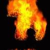Picture for song 'Burn in Hell' by artist 'Overlord (SE)'