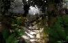 Picture for song 'In the Garden' by artist 'Overneath'