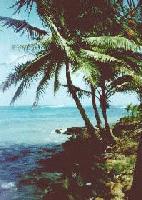 Picture for song 'Reign in Paradise' by artist 'Overunity'