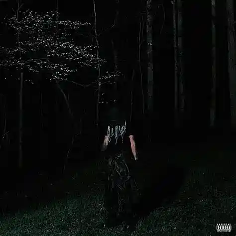 Picture for song '[FREE DOWNLOAD] Rexv2 "trappin" 140 BPM' by artist 'prodbyyd0n'