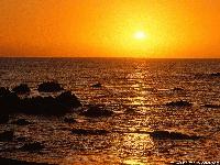 Picture for song 'One Love' by artist 'Pacific Coast Productions'