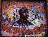 Picture for song 'hardcore gangsta' by artist 'Paco 305'