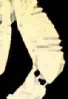 Picture for song 'vision of prachan' by artist 'Pakawan'