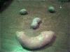 Picture for song 'sweet dreams remix..' by artist 'paperboy8614'