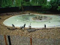 Picture for song 'Wrapped' by artist 'PaperUmbrella'