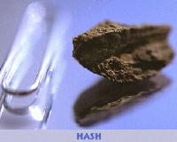 Picture for song 'hashedoutplan' by artist 'Pappa'