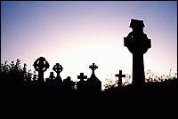 Picture for song 'ghosts in the graveyard' by artist 'pappion'