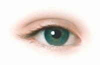 Picture for song 'Pills would ease the pain' by artist 'Paradox (UK)'