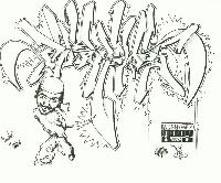 Picture for song 'P-Dox Makes Da World Go Round' by artist 'Paradox Unit'