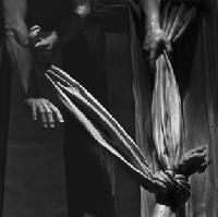 Picture for song 'Another Redemption Song' by artist 'parker'