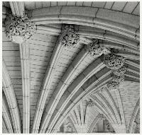 Picture for song 'I Want To Go Home' by artist 'parker'