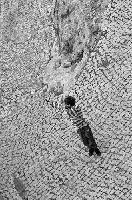 Picture for song 'I Wondered What She Wondered' by artist 'parker'