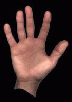 Picture for song 'The Slow Slow Ground' by artist 'parker'