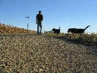 Picture for song 'Light' by artist 'Parkside'