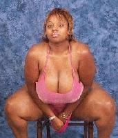 Picture for song 'BIG GIRLS THICK GIRLS' by artist 'PARTNERS IN CRIME'