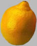 Picture for song 'Lemonade (Full Version)' by artist 'Passion(SF)'
