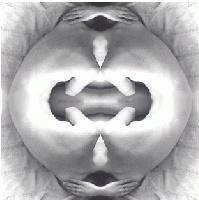 Picture for song 'Seamless Continuom' by artist 'Patrick Dempsey'