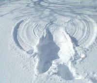 Picture for song 'No Wings (but Still an Angel)' by artist 'Paul Barnes'